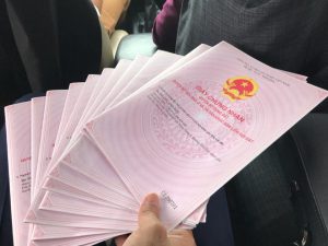 Củ Chi Center
